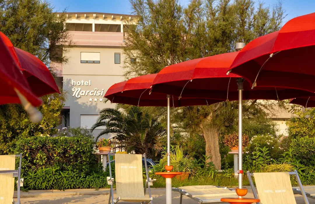 Hotel Narcisi-1